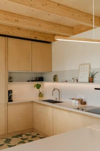 Creative Architecture: A Stunning One-Story Home Built on a Challenging Triangular Plot - image 26