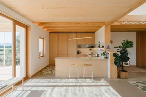 Creative Architecture: A Stunning One-Story Home Built on a Challenging Triangular Plot - image 16