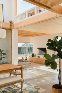 Creative Architecture: A Stunning One-Story Home Built on a Challenging Triangular Plot - image 4