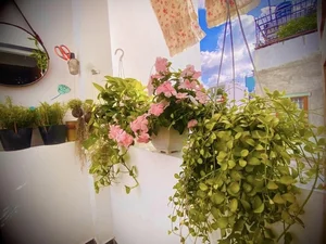 Green Living Inspiration: Inside the Lush and Serene Plant-Filled Sanctuary of a Modern Lifestyle Icon - image 7