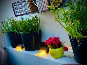Green Living Inspiration: Inside the Lush and Serene Plant-Filled Sanctuary of a Modern Lifestyle Icon - image 8
