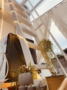 Green Living Inspiration: Inside the Lush and Serene Plant-Filled Sanctuary of a Modern Lifestyle Icon - image 9