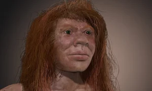 Uncovering the Secrets of the Jomon People: Prehistoric Japan Explored - image 2