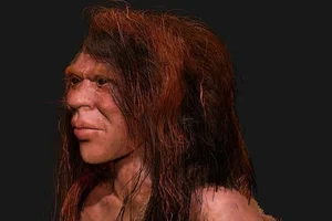 Uncovering the Secrets of the Jomon People: Prehistoric Japan Explored - image 7