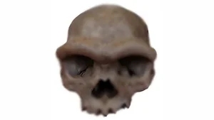 Uncovering the Secrets of the Jomon People: Prehistoric Japan Explored - image 5