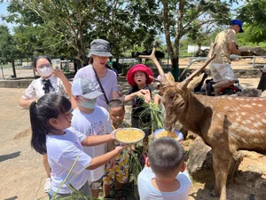 Top 5 Refreshing Summer Destinations for a Perfect Family Vacation with Kids - image 2
