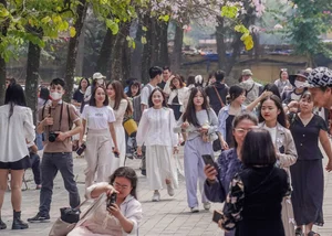 Spring in Hanoi: The Crowds and Beauty of Ban Flower Season - image 2