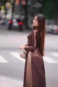 Graceful Brown Ao Dai Beauty on the Street: Modern Vietnamese Elegance - image 6