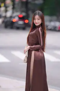 Graceful Brown Ao Dai Beauty on the Street: Modern Vietnamese Elegance - image 7