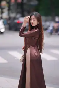 Graceful Brown Ao Dai Beauty on the Street: Modern Vietnamese Elegance - image 5