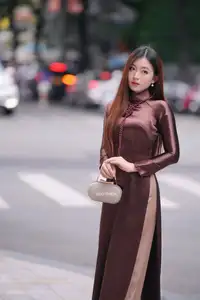Graceful Brown Ao Dai Beauty on the Street: Modern Vietnamese Elegance - image 4