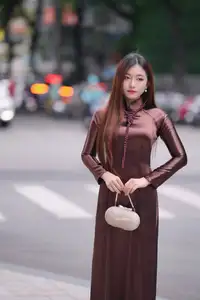 Graceful Brown Ao Dai Beauty on the Street: Modern Vietnamese Elegance - image 0