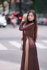 Graceful Brown Ao Dai Beauty on the Street: Modern Vietnamese Elegance - image 3