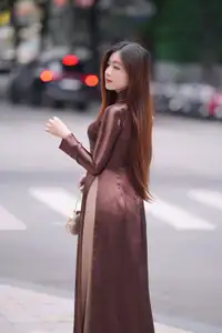Graceful Brown Ao Dai Beauty on the Street: Modern Vietnamese Elegance - image 2