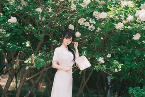 YiTuYu Art Language Vol.6870: Capturing the Elegance of Bu Ke Ai De He He Miao - image 18