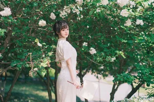 YiTuYu Art Language Vol.6870: Capturing the Elegance of Bu Ke Ai De He He Miao - image 25