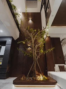 Modern 3-Story Townhouse Design: HH’s House in Da Nang Featuring Sustainable Greenery, Natural Light, and Open Voids for Contemporary Urban Living - image 3