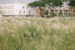 Escape the Ordinary: Discovering Da Nang’s Serene Hidden Gems and Ethereal Landscapes - image 0