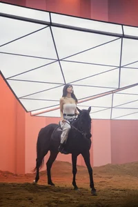 Exploring the Glamorous and Seductive Style of Popular V-Pop Singer Min in Her Latest Photoshoot - image 6