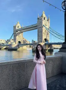 Elegant Pink Ao Dai at London's Tower Bridge: A Cultural Fusion - image 3