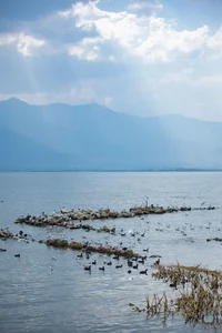 Ethereal Grace of Wan Jiang Ting in YiTuYu Art Language Vol.8851 by the Lake - image 11