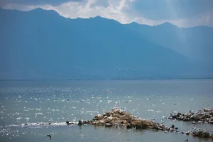 Ethereal Grace of Wan Jiang Ting in YiTuYu Art Language Vol.8851 by the Lake - image 25