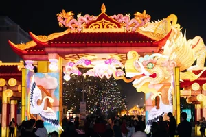 Discover the Giant Lantern Street: A Must-Visit in East Hanoi - image 12