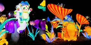 Discover the Giant Lantern Street: A Must-Visit in East Hanoi - image 1