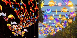 Discover the Giant Lantern Street: A Must-Visit in East Hanoi - image 10