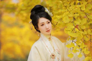 Visual Storytelling: YiTuYu Art Language Vol.6312 Li Cai Collection - image 25