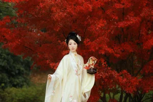 Visual Storytelling: YiTuYu Art Language Vol.6312 Li Cai Collection - image 0