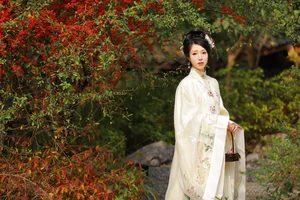 Visual Storytelling: YiTuYu Art Language Vol.6312 Li Cai Collection - image 21