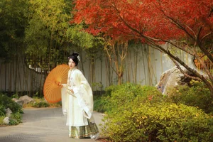 Visual Storytelling: YiTuYu Art Language Vol.6312 Li Cai Collection - image 19