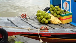 7 Must-Try Vietnamese Fruits Recognized by Global Food Experts - image 6