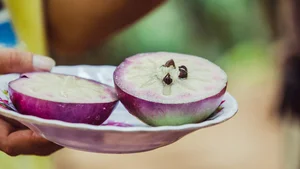 7 Must-Try Vietnamese Fruits Recognized by Global Food Experts - image 5