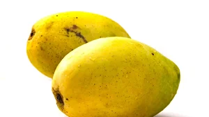 7 Must-Try Vietnamese Fruits Recognized by Global Food Experts - image 4
