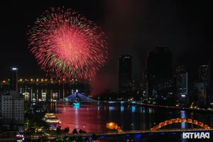 Spectacular Opening of the Da Nang International Fireworks Festival 2024: A Symphony of Light - image 10