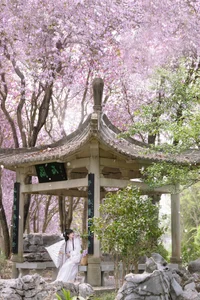 Ethereal Spring Dreams - YiTuYu Art Language Vol.8912 Qiao Qiao - image 8