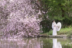 Ethereal Spring Dreams - YiTuYu Art Language Vol.8912 Qiao Qiao - image 2