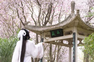 Ethereal Spring Dreams - YiTuYu Art Language Vol.8912 Qiao Qiao - image 12