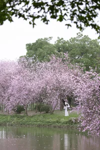 Ethereal Spring Dreams - YiTuYu Art Language Vol.8912 Qiao Qiao - image 25