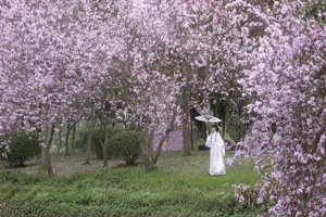 Ethereal Spring Dreams - YiTuYu Art Language Vol.8912 Qiao Qiao - image 14