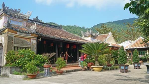 The Ultimate 2024 Cu Lao Cham Travel Guide: Everything You Need to Know - image 3