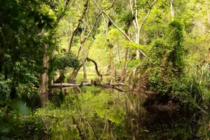 Trekking Cat Ba National Park: Exploring the Hidden Viet Hai Ancient Village - image 2