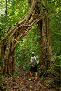 Trekking Cat Ba National Park: Exploring the Hidden Viet Hai Ancient Village - image 3