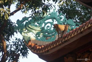 Ancient Serenity: The 400-Year-Old Temple Nestled Beside the Dong Nai River - image 7