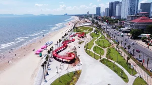 Vung Tau Back Beach Transformation: New Look for the Peak Tourism Season - image 5