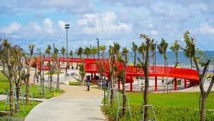 Vung Tau Back Beach Transformation: New Look for the Peak Tourism Season - image 3