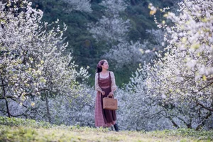 Moc Chau Travel Guide: Stunning Plum Blossom Check-in Spots in Vietnam - image 2