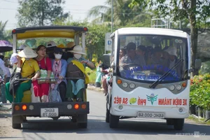 Sa Dec Flower Village: A Vibrant Pre-Tet Tourist Destination - image 2